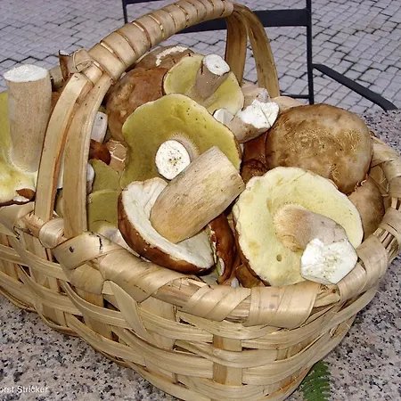 Oda ve Kahvaltı Oficina Do Joe