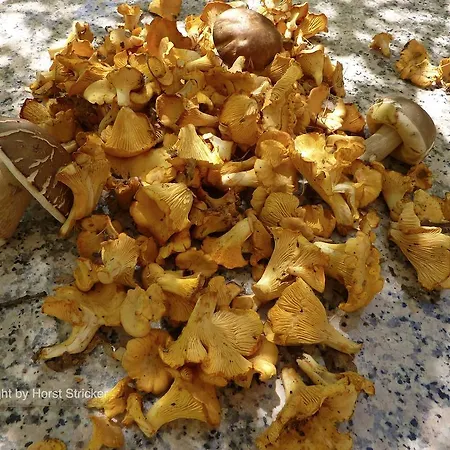 Oda ve Kahvaltı Oficina Do Joe Outeiro (Tras-Os-Montes)