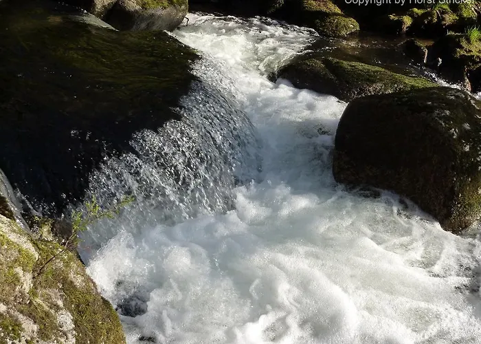 Bed and breakfast Oficina Do Joe 3*