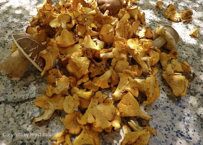 Bed and breakfast Oficina Do Joe Outeiro (Tras-Os-Montes)